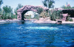 Arch passage in River of Legends